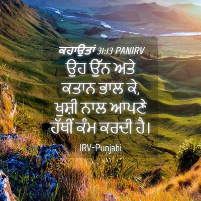 Picture 04 - ਕਹਾਉਤਾਂ 31:13 PANIRV - ਉਹ ਉੱਨ ਅਤੇ ਕਤਾਨ ਭਾਲ - Bible Verse Picture