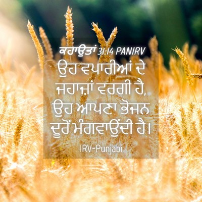Picture 04 - ਕਹਾਉਤਾਂ 31:14 PANIRV - ਉਹ ਵਪਾਰੀਆਂ ਦੇ - Bible Verse Picture