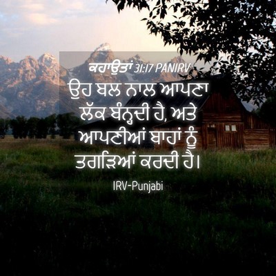 Picture 04 - ਕਹਾਉਤਾਂ 31:17 PANIRV - ਉਹ ਬਲ ਨਾਲ ਆਪਣਾ ਲੱਕ - Bible Verse Picture