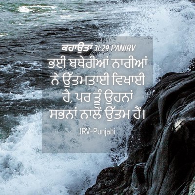Picture 04 - ਕਹਾਉਤਾਂ 31:29 PANIRV - ਭਈ ਬਥੇਰੀਆਂ ਨਾਰੀਆਂ - Bible Verse Picture