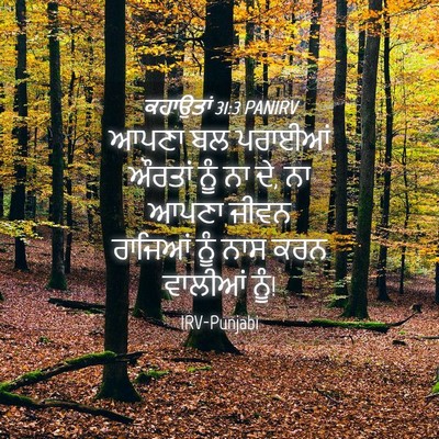 Picture 04 - ਕਹਾਉਤਾਂ 31:3 PANIRV - ਆਪਣਾ ਬਲ ਪਰਾਈਆਂ - Bible Verse Picture