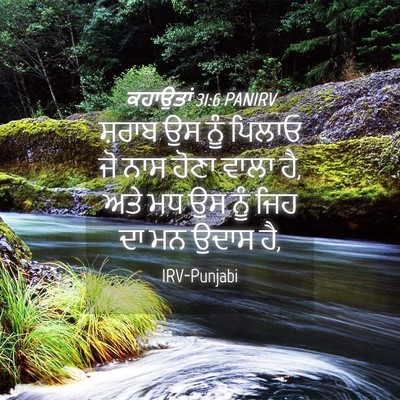 Picture 04 - ਕਹਾਉਤਾਂ 31:6 PANIRV - ਸ਼ਰਾਬ ਉਸ ਨੂੰ ਪਿਲਾਓ - Bible Verse Picture