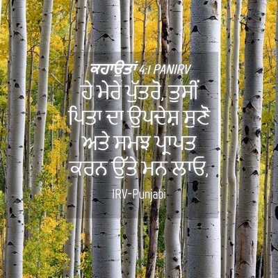 Picture 04 - ਕਹਾਉਤਾਂ 4:1 PANIRV - ਹੇ ਮੇਰੇ ਪੁੱਤਰੋ, - Bible Verse Picture