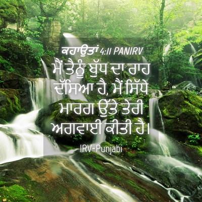 Picture 04 - ਕਹਾਉਤਾਂ 4:11 PANIRV - ਮੈਂ ਤੈਨੂੰ ਬੁੱਧ ਦਾ - Bible Verse Picture