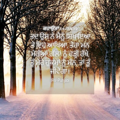 Picture 04 - ਕਹਾਉਤਾਂ 4:4 PANIRV - ਤਦ ਉਸ ਨੇ ਮੈਨੂੰ - Bible Verse Picture