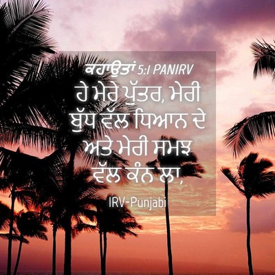 Picture 04 - ਕਹਾਉਤਾਂ 5:1 PANIRV - ਹੇ ਮੇਰੇ ਪੁੱਤਰ, ਮੇਰੀ - Bible Verse Picture