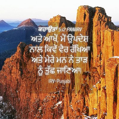 Picture 04 - ਕਹਾਉਤਾਂ 5:12 PANIRV - ਅਤੇ ਆਖੇਂ, ਮੈਂ - Bible Verse Picture