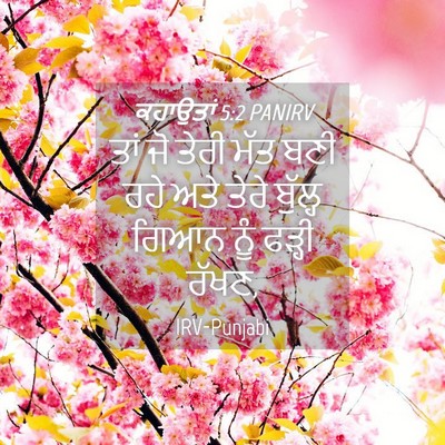 Picture 04 - ਕਹਾਉਤਾਂ 5:2 PANIRV - ਤਾਂ ਜੋ ਤੇਰੀ ਮੱਤ ਬਣੀ - Bible Verse Picture