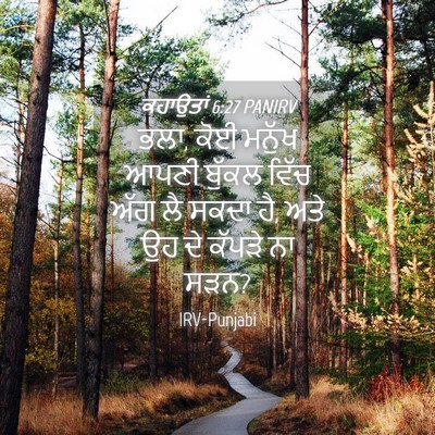 Picture 04 - ਕਹਾਉਤਾਂ 6:27 PANIRV - ਭਲਾ, ਕੋਈ ਮਨੁੱਖ ਆਪਣੀ - Bible Verse Picture
