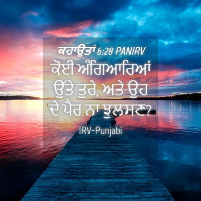 Picture 04 - ਕਹਾਉਤਾਂ 6:28 PANIRV - ਕੋਈ ਅੰਗਿਆਰਿਆਂ - Bible Verse Picture