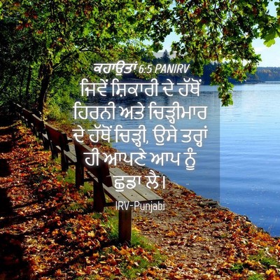 Picture 04 - ਕਹਾਉਤਾਂ 6:5 PANIRV - ਜਿਵੇਂ ਸ਼ਿਕਾਰੀ ਦੇ - Bible Verse Picture
