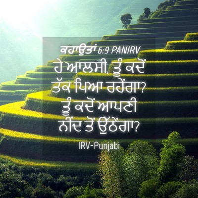 Picture 04 - ਕਹਾਉਤਾਂ 6:9 PANIRV - ਹੇ ਆਲਸੀ, ਤੂੰ ਕਦੋਂ - Bible Verse Picture