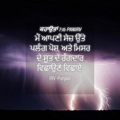 Picture 04 - ਕਹਾਉਤਾਂ 7:16 PANIRV - ਮੈਂ ਆਪਣੀ ਸੇਜ਼ ਉੱਤੇ - Bible Verse Picture