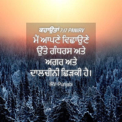 Picture 04 - ਕਹਾਉਤਾਂ 7:17 PANIRV - ਮੈਂ ਆਪਣੇ ਵਿਛਾਉਣੇ - Bible Verse Picture