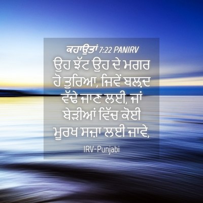 Picture 04 - ਕਹਾਉਤਾਂ 7:22 PANIRV - ਉਹ ਝੱਟ ਉਹ ਦੇ ਮਗਰ ਹੋ - Bible Verse Picture