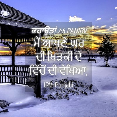 Picture 04 - ਕਹਾਉਤਾਂ 7:6 PANIRV - ਮੈਂ ਆਪਣੇ ਘਰ ਦੀ - Bible Verse Picture