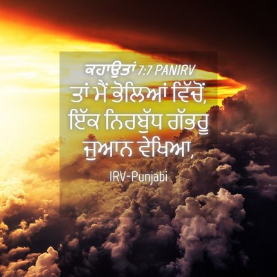 Picture 04 - ਕਹਾਉਤਾਂ 7:7 PANIRV - ਤਾਂ ਮੈਂ ਭੋਲਿਆਂ - Bible Verse Picture