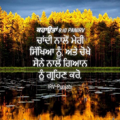 Picture 04 - ਕਹਾਉਤਾਂ 8:10 PANIRV - ਚਾਂਦੀ ਨਾਲੋਂ ਮੇਰੀ - Bible Verse Picture