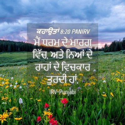 Picture 04 - ਕਹਾਉਤਾਂ 8:20 PANIRV - ਮੈਂ ਧਰਮ ਦੇ ਮਾਰਗ - Bible Verse Picture