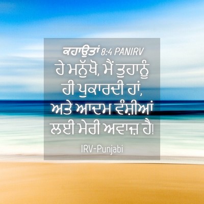 Picture 04 - ਕਹਾਉਤਾਂ 8:4 PANIRV - ਹੇ ਮਨੁੱਖੋ, ਮੈਂ - Bible Verse Picture