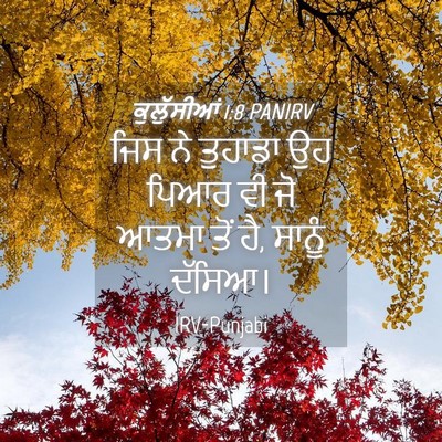 Picture 04 - ਕੁਲੁੱਸੀਆਂ 1:8 PANIRV - ਜਿਸ ਨੇ ਤੁਹਾਡਾ ਉਹ - Bible Verse Picture