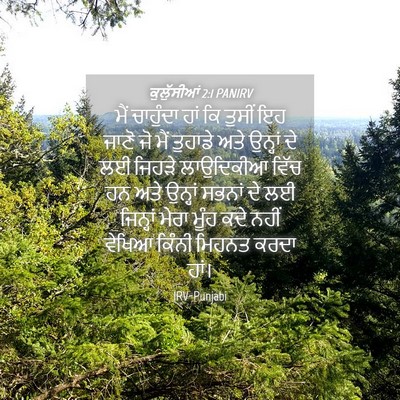 Picture 04 - ਕੁਲੁੱਸੀਆਂ 2:1 PANIRV - ਮੈਂ ਚਾਹੁੰਦਾ ਹਾਂ ਕਿ - Bible Verse Picture