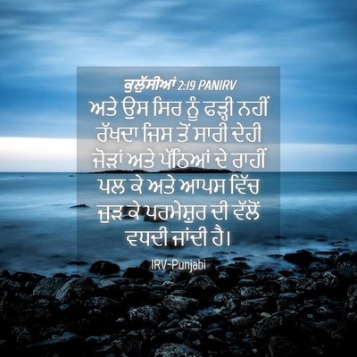 Picture 04 - ਕੁਲੁੱਸੀਆਂ 2:19 PANIRV - ਅਤੇ ਉਸ ਸਿਰ ਨੂੰ - Bible Verse Picture