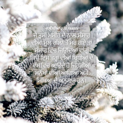 Picture 04 - ਕੁਲੁੱਸੀਆਂ 2:20 PANIRV - ਜੇ ਤੁਸੀਂ ਮਸੀਹ ਦੇ - Bible Verse Picture