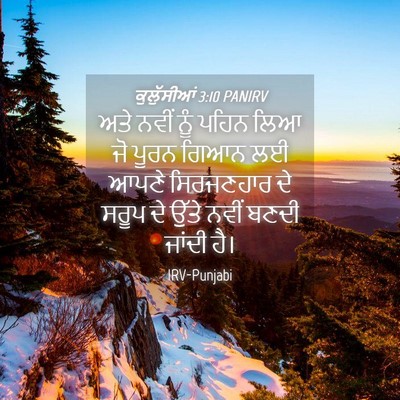 Picture 04 - ਕੁਲੁੱਸੀਆਂ 3:10 PANIRV - ਅਤੇ ਨਵੀਂ ਨੂੰ ਪਹਿਨ - Bible Verse Picture