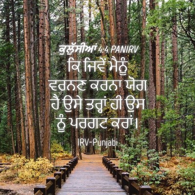 Picture 04 - ਕੁਲੁੱਸੀਆਂ 4:4 PANIRV - ਕਿ ਜਿਵੇਂ ਮੈਨੂੰ - Bible Verse Picture
