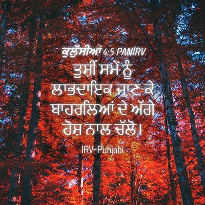 Picture 04 - ਕੁਲੁੱਸੀਆਂ 4:5 PANIRV - ਤੁਸੀਂ ਸਮੇਂ ਨੂੰ - Bible Verse Picture