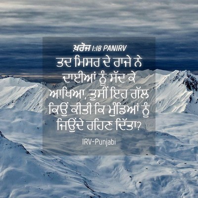 Picture 04 - ਖ਼ਰੋਜ 1:18 PANIRV - ਤਦ ਮਿਸਰ ਦੇ ਰਾਜੇ ਨੇ - Bible Verse Picture