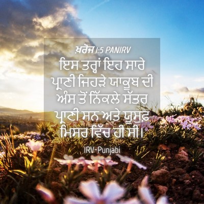 Picture 04 - ਖ਼ਰੋਜ 1:5 PANIRV - ਇਸ ਤਰ੍ਹਾਂ ਇਹ ਸਾਰੇ - Bible Verse Picture