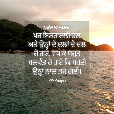 Picture 04 - ਖ਼ਰੋਜ 1:7 PANIRV - ਪਰ ਇਸਰਾਏਲੀ ਫਲੇ ਅਤੇ - Bible Verse Picture