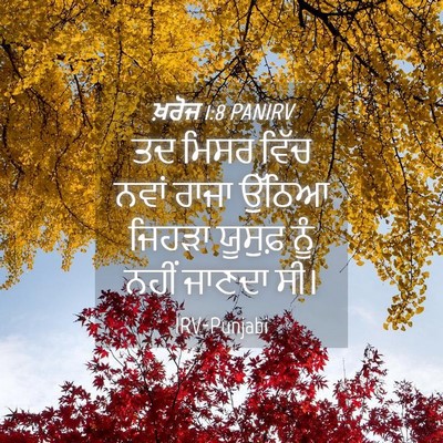 Picture 04 - ਖ਼ਰੋਜ 1:8 PANIRV - ਤਦ ਮਿਸਰ ਵਿੱਚ ਨਵਾਂ - Bible Verse Picture