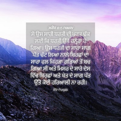 Picture 04 - ਖ਼ਰੋਜ 10:15 PANIRV - ਸੋ ਉਸ ਸਾਰੀ ਧਰਤੀ ਦੀ - Bible Verse Picture
