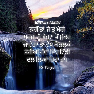 Picture 04 - ਖ਼ਰੋਜ 10:4 PANIRV - ਨਹੀਂ ਤਾਂ, ਜੇ ਤੂੰ - Bible Verse Picture