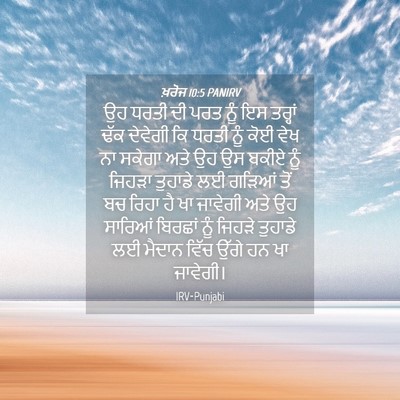 Picture 04 - ਖ਼ਰੋਜ 10:5 PANIRV - ਉਹ ਧਰਤੀ ਦੀ ਪਰਤ ਨੂੰ - Bible Verse Picture