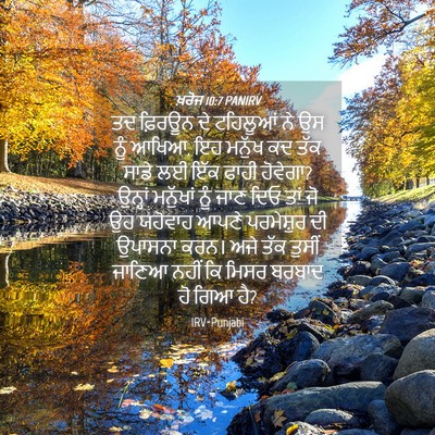 Picture 04 - ਖ਼ਰੋਜ 10:7 PANIRV - ਤਦ ਫ਼ਿਰਊਨ ਦੇ - Bible Verse Picture