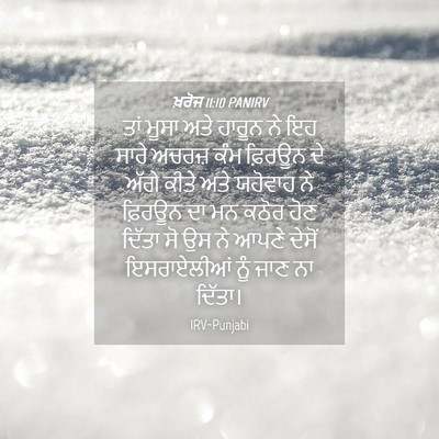 Picture 04 - ਖ਼ਰੋਜ 11:10 PANIRV - ਤਾਂ ਮੂਸਾ ਅਤੇ ਹਾਰੂਨ - Bible Verse Picture