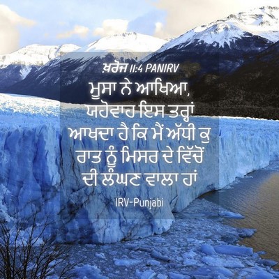 Picture 04 - ਖ਼ਰੋਜ 11:4 PANIRV - ਮੂਸਾ ਨੇ ਆਖਿਆ, - Bible Verse Picture