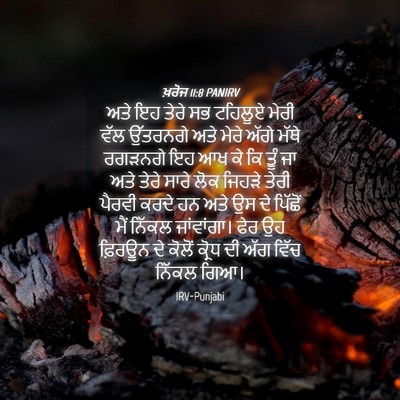 Picture 04 - ਖ਼ਰੋਜ 11:8 PANIRV - ਅਤੇ ਇਹ ਤੇਰੇ ਸਭ - Bible Verse Picture