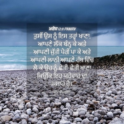 Picture 04 - ਖ਼ਰੋਜ 12:11 PANIRV - ਤੁਸੀਂ ਉਸ ਨੂੰ ਇਸ - Bible Verse Picture