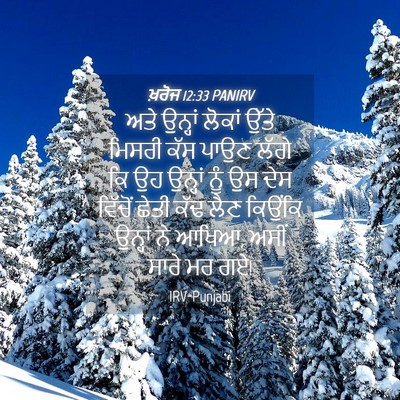 Picture 04 - ਖ਼ਰੋਜ 12:33 PANIRV - ਅਤੇ ਉਨ੍ਹਾਂ ਲੋਕਾਂ - Bible Verse Picture