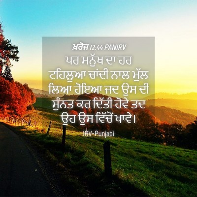 Picture 04 - ਖ਼ਰੋਜ 12:44 PANIRV - ਪਰ ਮਨੁੱਖ ਦਾ ਹਰ - Bible Verse Picture