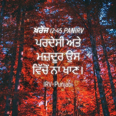 Picture 04 - ਖ਼ਰੋਜ 12:45 PANIRV - ਪਰਦੇਸੀ ਅਤੇ ਮਜ਼ਦੂਰ - Bible Verse Picture
