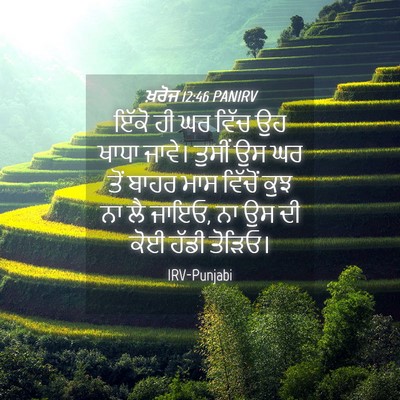 Picture 04 - ਖ਼ਰੋਜ 12:46 PANIRV - ਇੱਕੋ ਹੀ ਘਰ ਵਿੱਚ ਉਹ - Bible Verse Picture