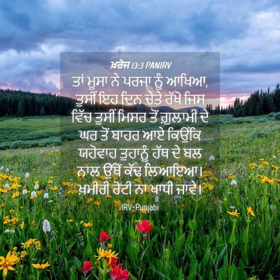 Picture 04 - ਖ਼ਰੋਜ 13:3 PANIRV - ਤਾਂ ਮੂਸਾ ਨੇ ਪਰਜਾ - Bible Verse Picture