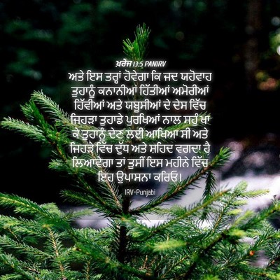 Picture 04 - ਖ਼ਰੋਜ 13:5 PANIRV - ਅਤੇ ਇਸ ਤਰ੍ਹਾਂ - Bible Verse Picture