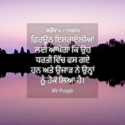 Picture 04 - ਖ਼ਰੋਜ 14:3 PANIRV - ਫ਼ਿਰਊਨ ਇਸਰਾਏਲੀਆਂ - Bible Verse Picture